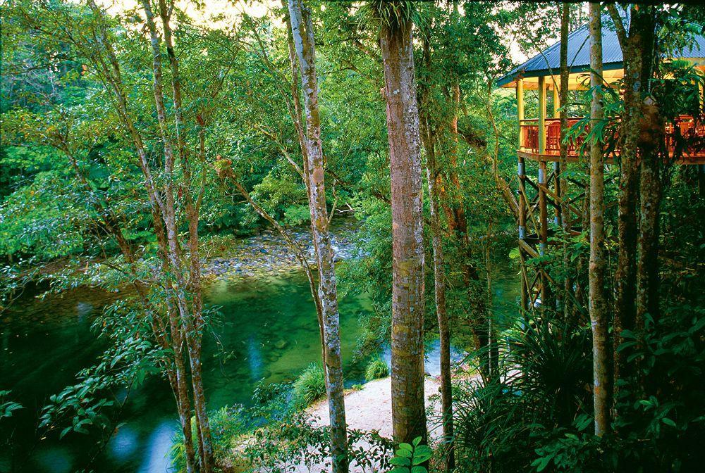 Silky Oaks Lodge Mossman Exteriör bild